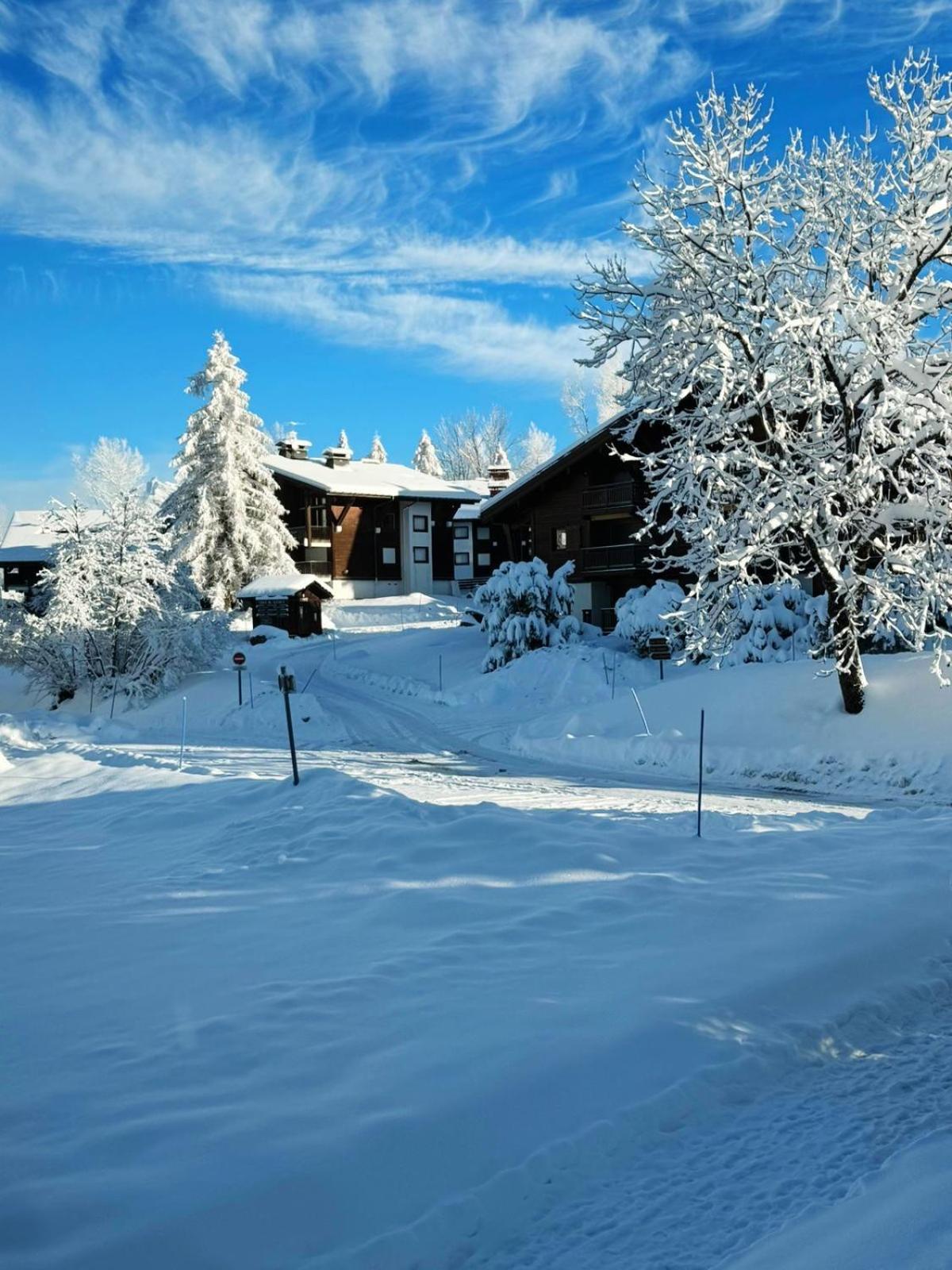 Le Flocon Du Mont Darbois Classe 3 Etoiles Megeve Ngoại thất bức ảnh